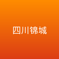 四川锦城U19